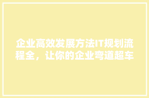 企业高效发展方法IT规划流程全，让你的企业弯道超车！ SEO关键词