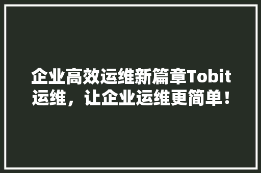 企业高效运维新篇章Tobit运维，让企业运维更简单！ 网站建设公司
