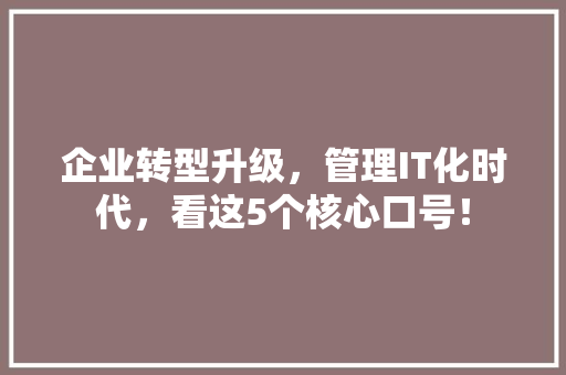 企业转型升级，管理IT化时代，看这5个核心口号！ SEO关键词