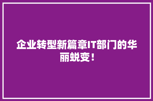 企业转型新篇章IT部门的华丽蜕变！ 必应SEO