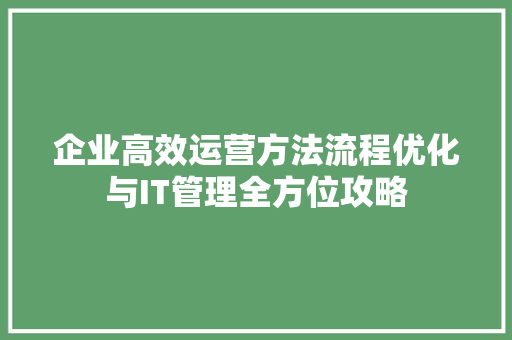 企业高效运营方法流程优化与IT管理全方位攻略 必应SEO