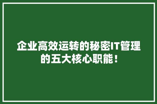 企业高效运转的秘密IT管理的五大核心职能！ 百度SEO