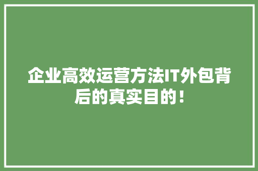 企业高效运营方法IT外包背后的真实目的！ SEO关键词