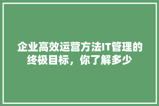 企业高效运营方法IT管理的终极目标，你了解多少 搜狗SEO