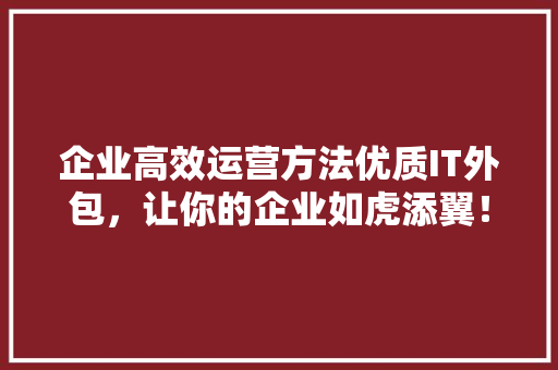 企业高效运营方法优质IT外包，让你的企业如虎添翼！ 必应SEO