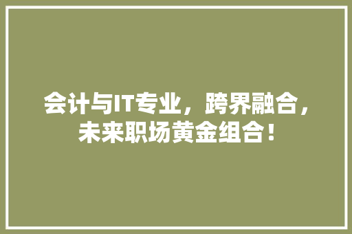 会计与IT专业，跨界融合，未来职场黄金组合！ 神马SEO