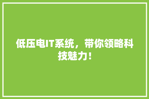 低压电IT系统，带你领略科技魅力！ 网站建设公司