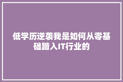 低学历逆袭我是如何从零基础踏入IT行业的 必应SEO