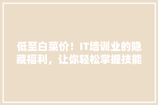低至白菜价！IT培训业的隐藏福利，让你轻松掌握技能不花冤枉钱！ 必应SEO