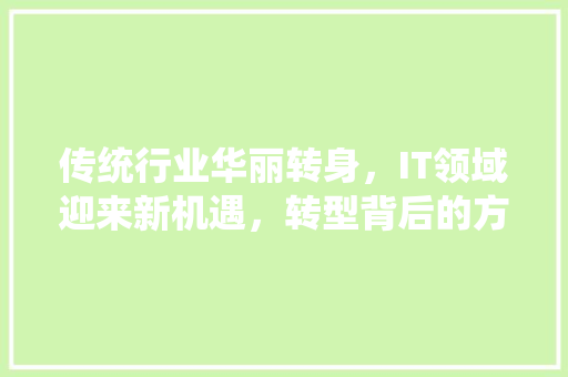 传统行业华丽转身，IT领域迎来新机遇，转型背后的方法！ 搜狗SEO