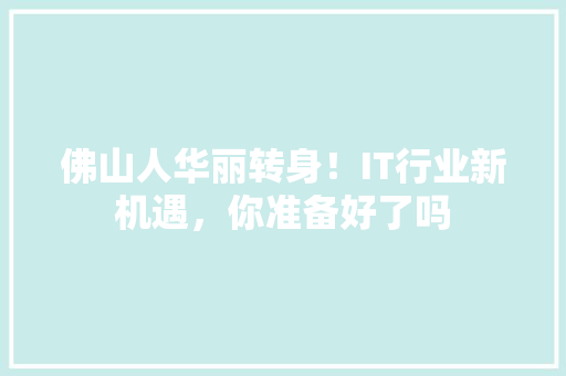 佛山人华丽转身！IT行业新机遇，你准备好了吗 百度SEO
