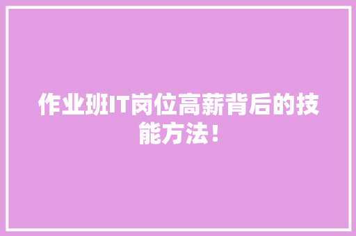 作业班IT岗位高薪背后的技能方法！ 网站建设公司