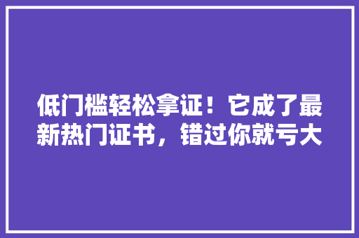 低门槛轻松拿证！它成了最新热门证书，错过你就亏大了！ 百度SEO