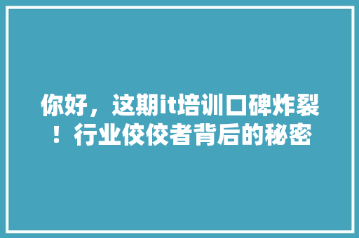 你好，这期it培训口碑炸裂！行业佼佼者背后的秘密 网站建设公司