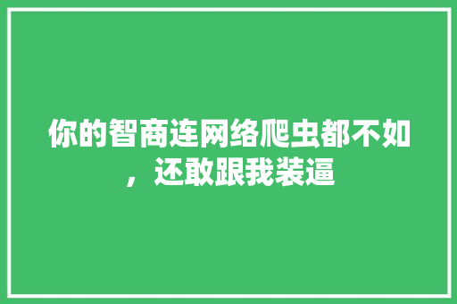 你的智商连网络爬虫都不如，还敢跟我装逼 百度SEO
