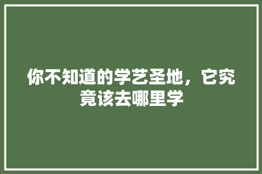 你不知道的学艺圣地，它究竟该去哪里学 网站建设公司