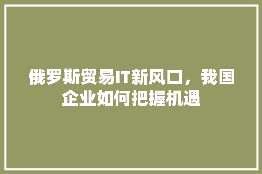 俄罗斯贸易IT新风口，我国企业如何把握机遇 SEO关键词