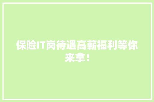 保险IT岗待遇高薪福利等你来拿！ 神马SEO
