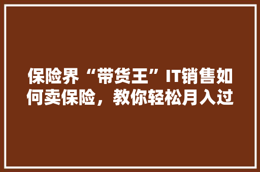 保险界“带货王”IT销售如何卖保险，教你轻松月入过万 神马SEO
