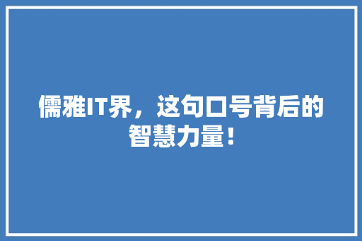儒雅IT界，这句口号背后的智慧力量！ 必应SEO