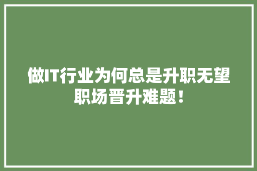 做IT行业为何总是升职无望职场晋升难题！ 网站建设公司