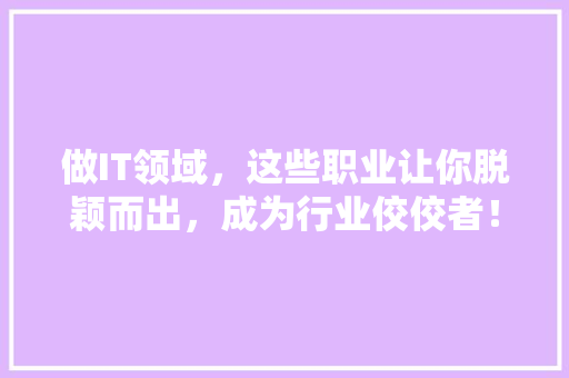 做IT领域，这些职业让你脱颖而出，成为行业佼佼者！ 百度SEO