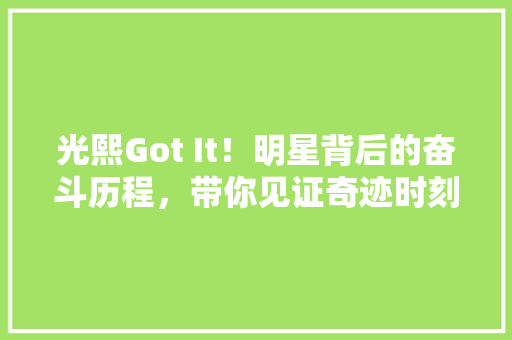 光熙Got It！明星背后的奋斗历程，带你见证奇迹时刻！ SEO关键词