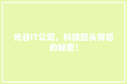 光谷IT公司，科技巨头背后的秘密！ 必应SEO