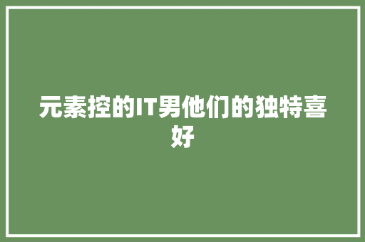 元素控的IT男他们的独特喜好 网站建设公司