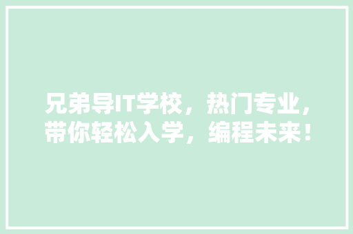 兄弟导IT学校，热门专业，带你轻松入学，编程未来！ 神马SEO