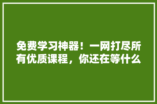 免费学习神器！一网打尽所有优质课程，你还在等什么 百度SEO