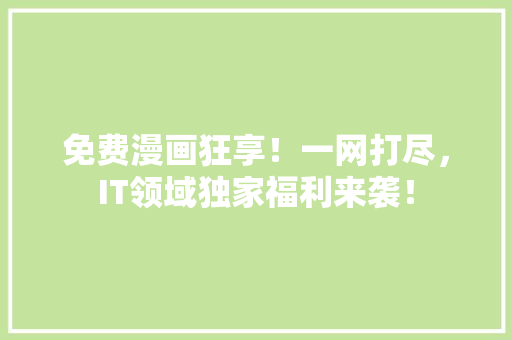 免费漫画狂享！一网打尽，IT领域独家福利来袭！ 神马SEO