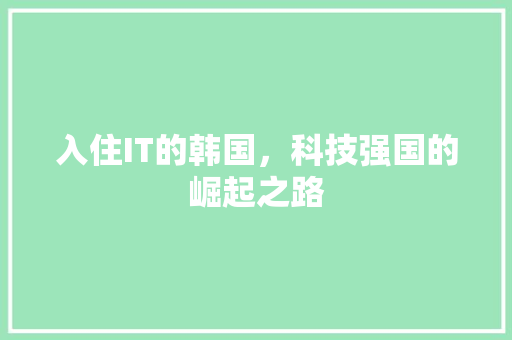 入住IT的韩国，科技强国的崛起之路 SEO关键词