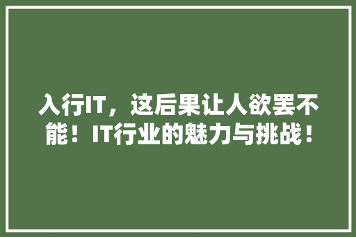 入行IT，这后果让人欲罢不能！IT行业的魅力与挑战！ SEO关键词