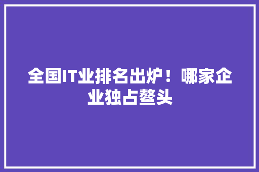全国IT业排名出炉！哪家企业独占鳌头 SEO关键词