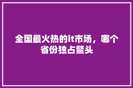 全国最火热的it市场，哪个省份独占鳌头 网站建设公司