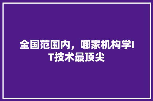 全国范围内，哪家机构学IT技术最顶尖 必应SEO