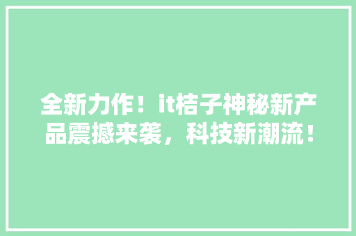 全新力作！it桔子神秘新产品震撼来袭，科技新潮流！ SEO关键词