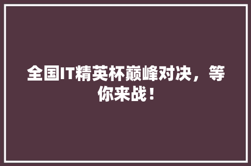 全国IT精英杯巅峰对决，等你来战！ SEO关键词