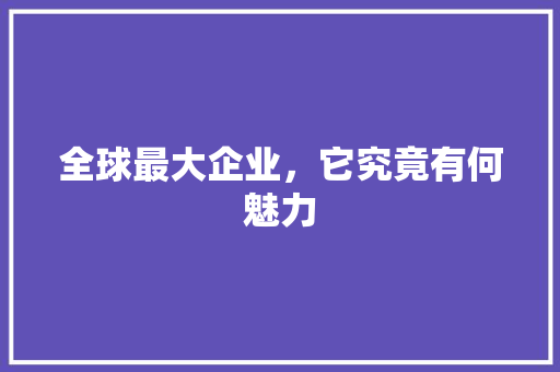 全球最大企业，它究竟有何魅力 必应SEO