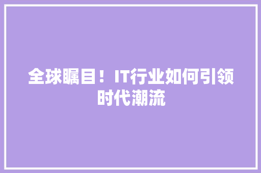 全球瞩目！IT行业如何引领时代潮流 百度SEO