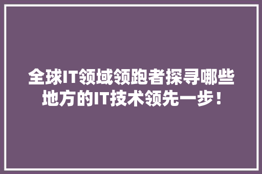 全球IT领域领跑者探寻哪些地方的IT技术领先一步！ SEO关键词