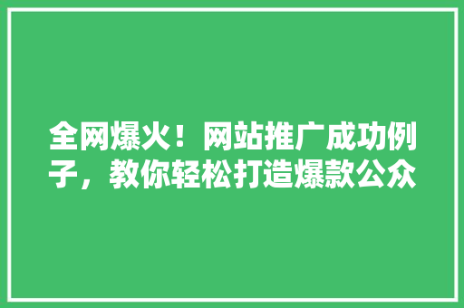 全网爆火！网站推广成功例子，教你轻松打造爆款公众号！ 神马SEO