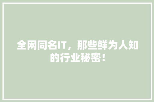 全网同名IT，那些鲜为人知的行业秘密！ SEO关键词