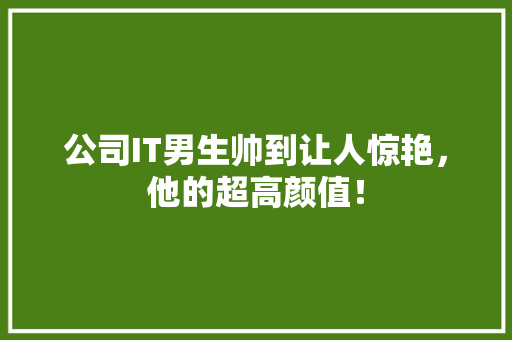 公司IT男生帅到让人惊艳，他的超高颜值！ SEO关键词