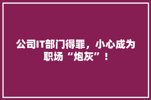 公司IT部门得罪，小心成为职场“炮灰”！ 必应SEO