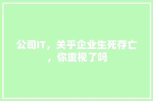 公司IT，关乎企业生死存亡，你重视了吗 网站建设公司