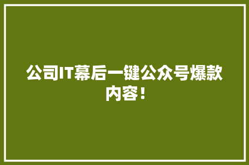 公司IT幕后一键公众号爆款内容！ 必应SEO