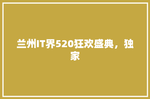 兰州IT界520狂欢盛典，独家 百度SEO