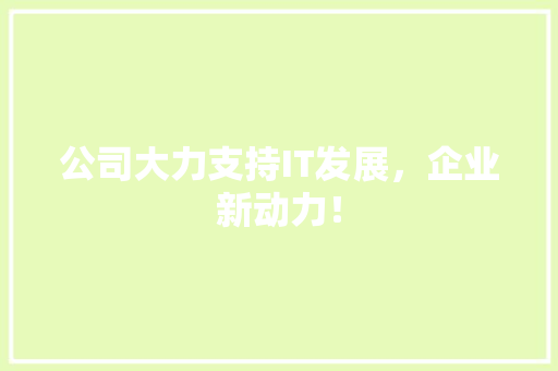 公司大力支持IT发展，企业新动力！
